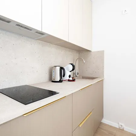 Brand New/apt On Vaivorykstes Str, By Cohost Apartment *